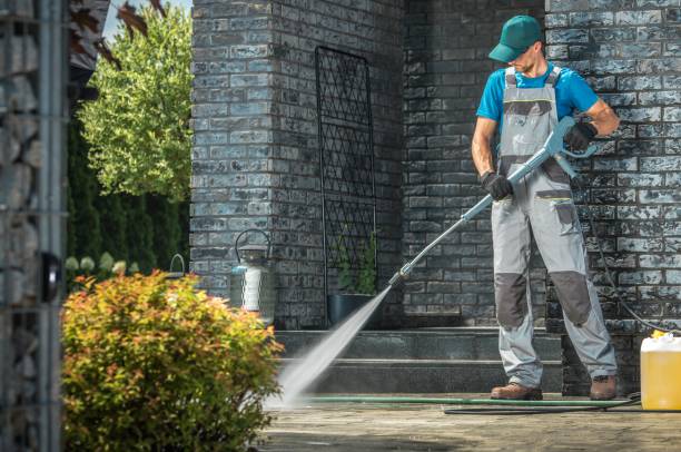 Best Graffiti Removal  in Lake Forest Park, WA